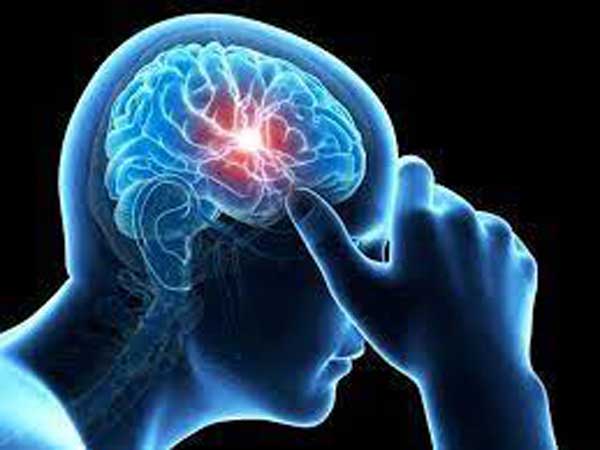 ثبت خاطرات جدید مغز و افزایش سطح اسیدهای چرب اشباع( اسید میریستیک)